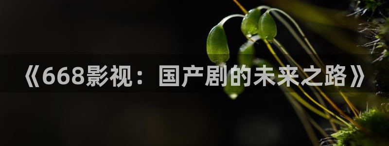 神马影视大全伦理
