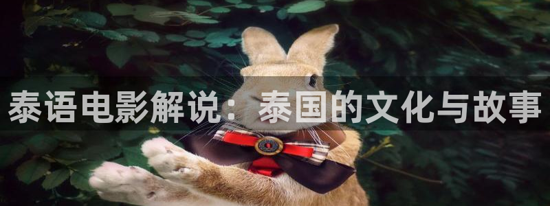 949神马电影网