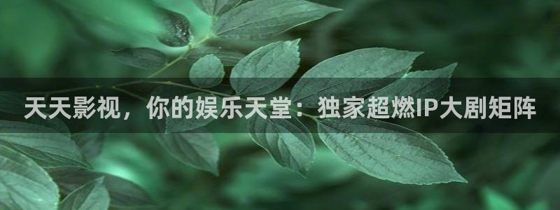 神马最新电影在线观看