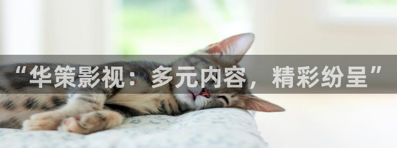 神马影院123
