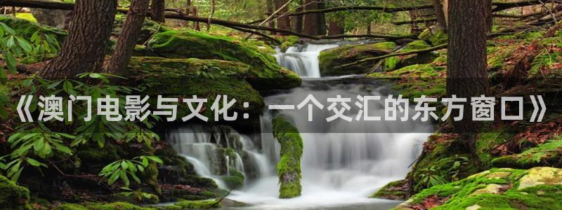 我不卡神马意思