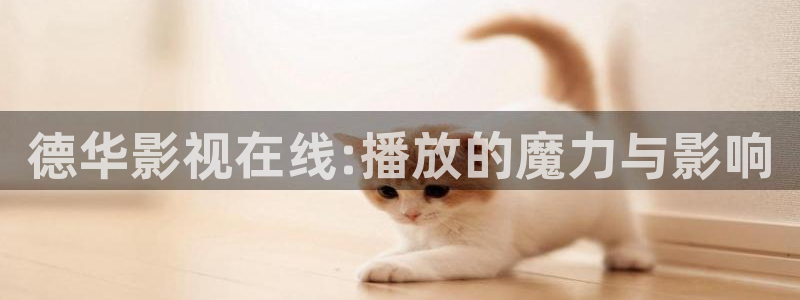 神马理伦片