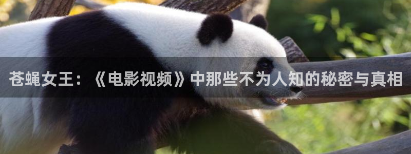 久久神马电影