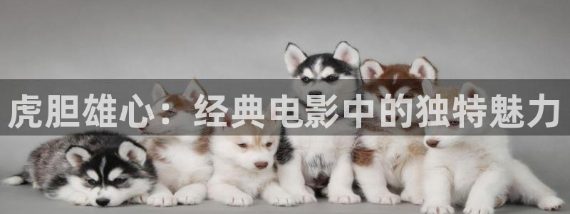 神马电影网达达兔影院