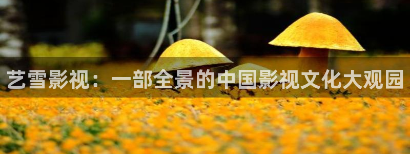 神马特电影