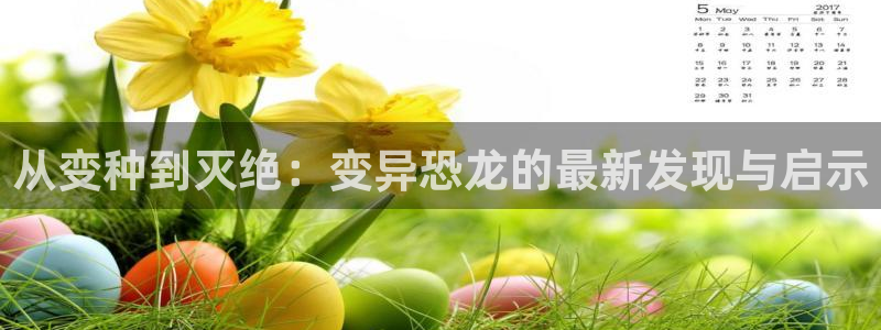 神马电影达达兔第五空间
