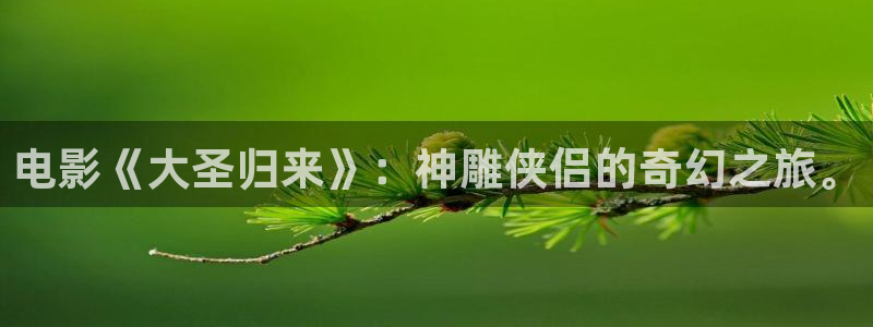 神马51伦理