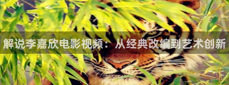 2019年神马免费电影