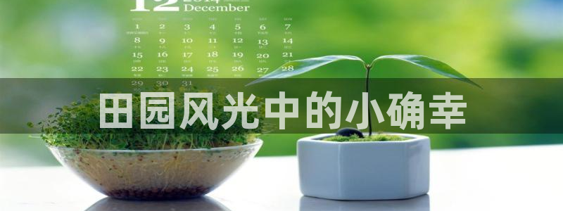 神马电影网手机