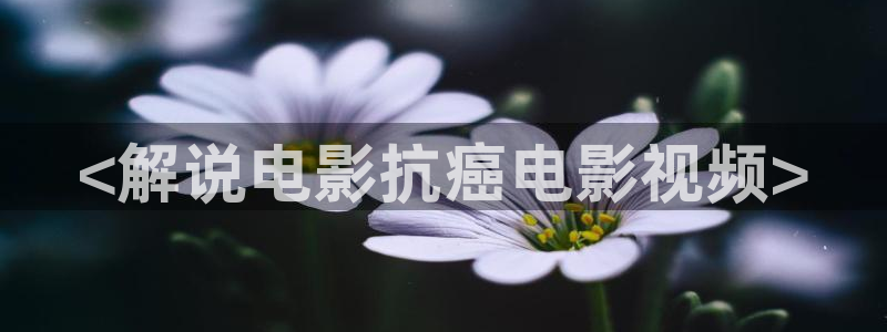 神马影视韩国理论片