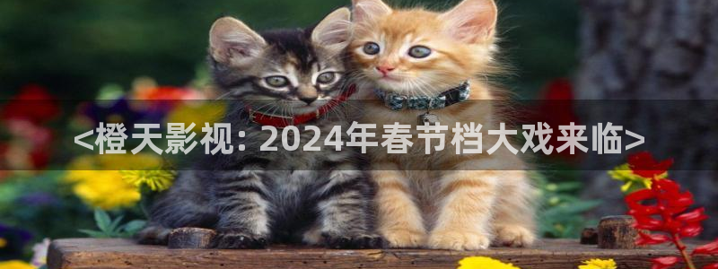 神马影院在线免费