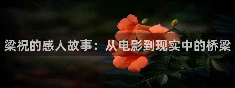 神马三片