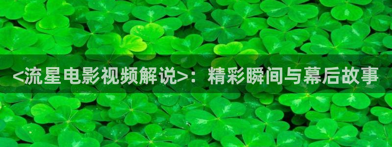伦理神马影院