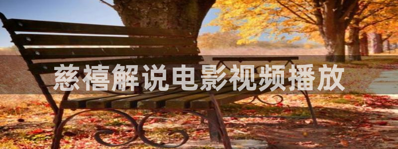神马电影院理论电影