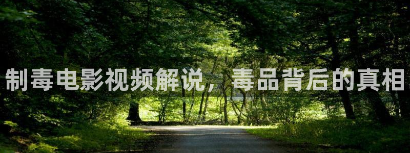 神马电影神马影院神马电影网