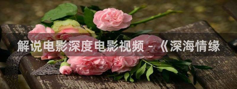神马电影免费观