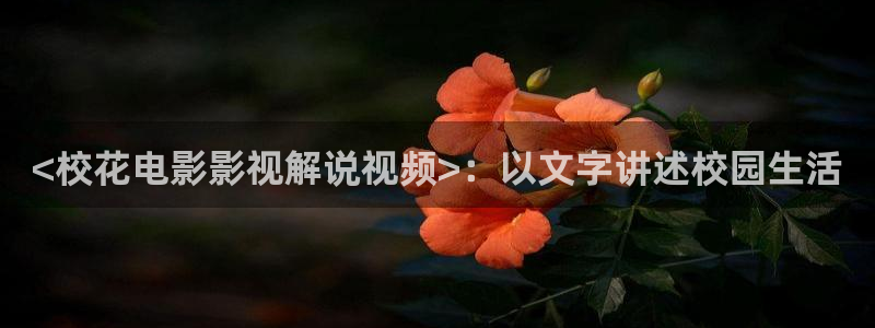 美景之屋神马电影