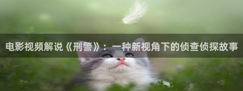 神马电影院手机版伦理