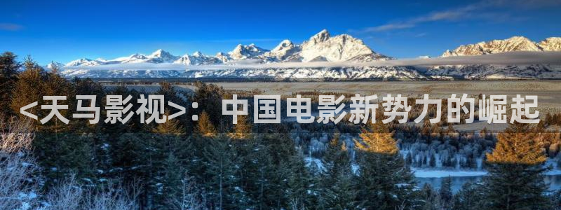 神马影院手机在线电影