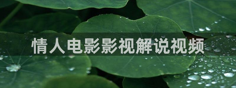 神马午夜电影网络