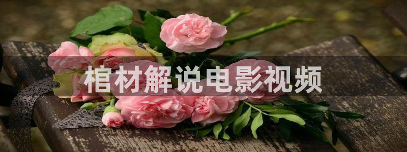 神马影视不卡