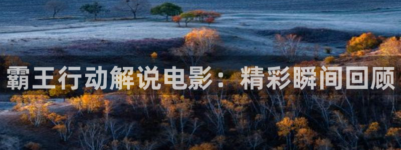 年轻的妻子神马影视