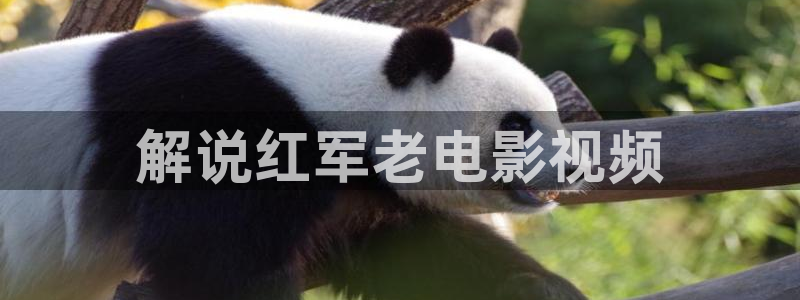 光棍影院在线观看神马影院